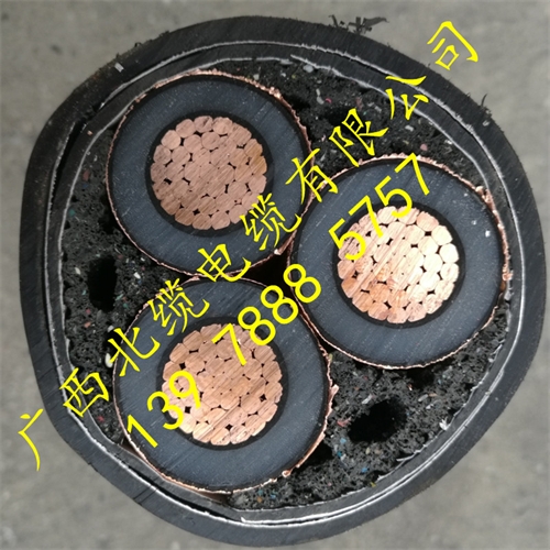www.tokocnqv.com.cn