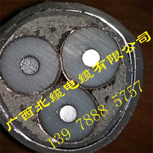 www.tokocnqv.com.cn