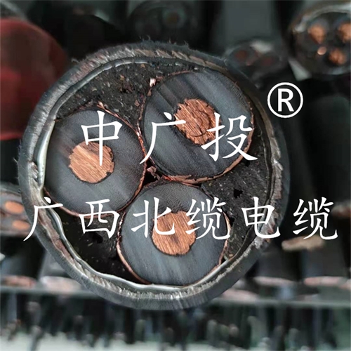 www.tokocnqv.com.cn