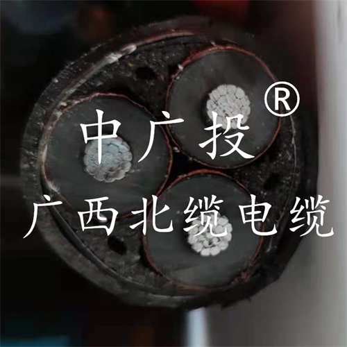 www.tokocnqv.com.cn