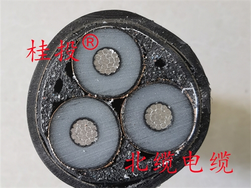 www.tokocnqv.com.cn