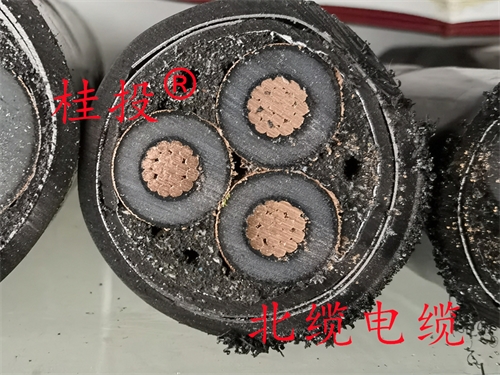 www.tokocnqv.com.cn